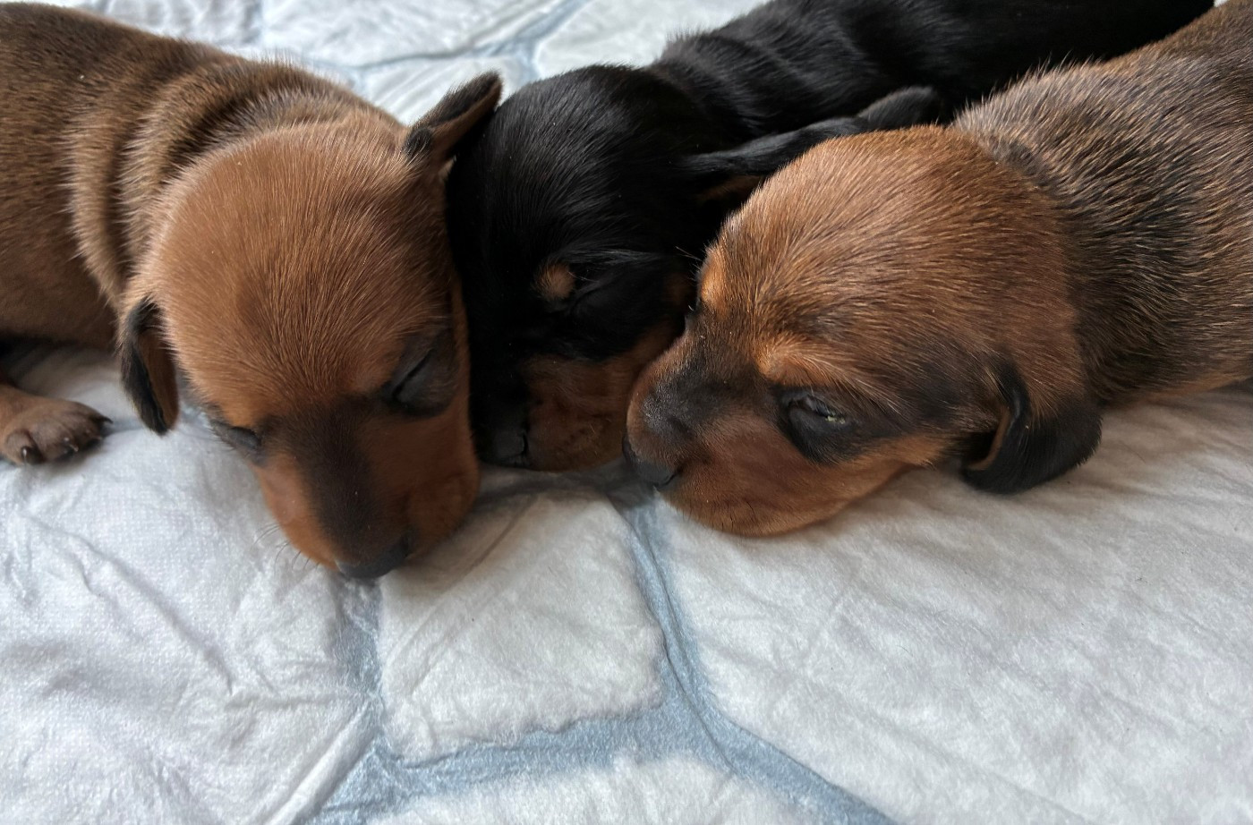 Naissance 2026 ❤ ❤ ❤ ❤